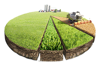 زمین تفکیکی